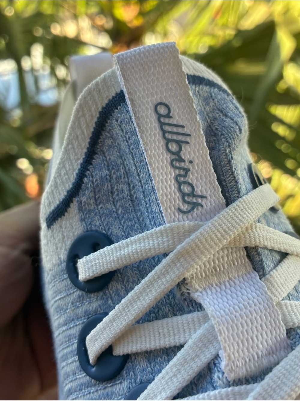 Shoes allbirds
